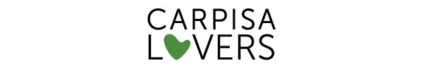 Logo Carpisa